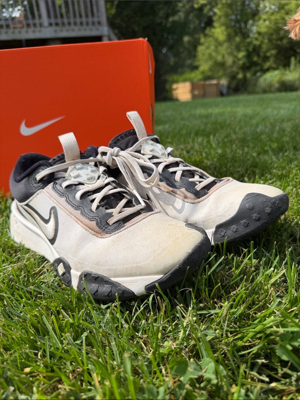 Nike Baseball Air Diamond Varsity Turf Shoes